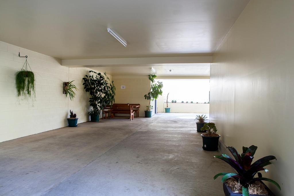 Mandarin Motel Macksville Εξωτερικό φωτογραφία
